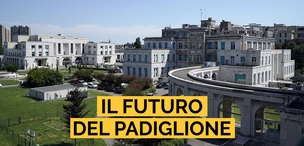 Il contributo di mc donalds