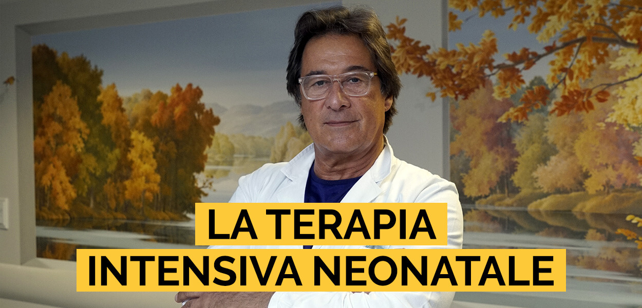 Il contributo di mc donalds